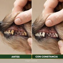 Comparación ilustrativa de dientes con sarro y con rutina constante