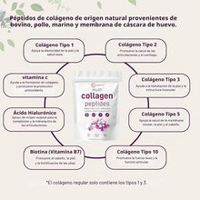 Micro Ingredients Polvo de péptidos de colágeno múltiple, 1 libra