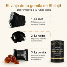 Shilajit Gold Gummies
