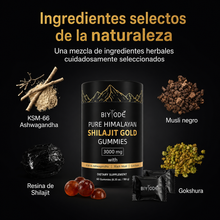 Shilajit Gold Gummies