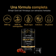 Shilajit Gold Gummies
